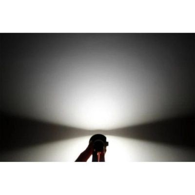 Диодни крушки 3900 H1 - 13w 1500lm