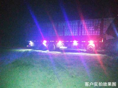 ДИОДНИ СВЕТЛИНИ