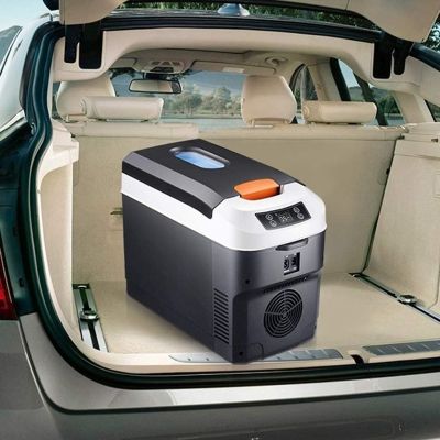 Хладилна кутия 10L-C 12V/220V