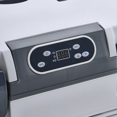 Хладилна кутия-19Л 12V/24V/220V